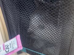 -艾贝尔宠物医院·狂犬免疫点(江山金象城店)