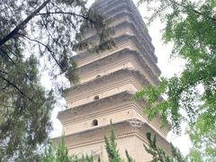 -西安博物院