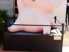 -星光大道