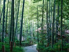 -天目湖御水温泉·度假酒店