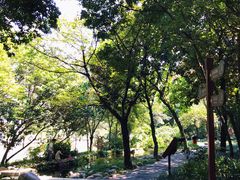 景点-成都市活水公园