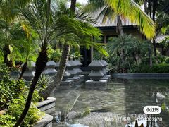 -海南清水湾莱佛士酒店