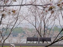 -羊山湖公园