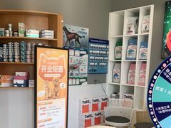 -关爱宠物医院·猫科中心·消化科(滨湖万达分院)