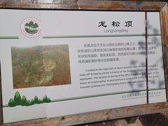 -天女山森林公园