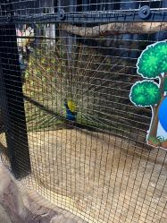 点击看大图 -酷嗒动物文化乐园(cutezoo西溪乐天城店)