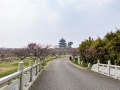 -上海海湾国家森林公园