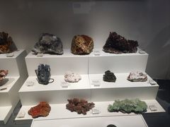 -重庆自然博物馆(新馆)