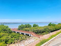 -宝安西湾红树林湿地公园