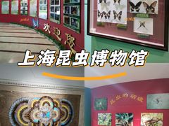 -上海昆虫博物馆