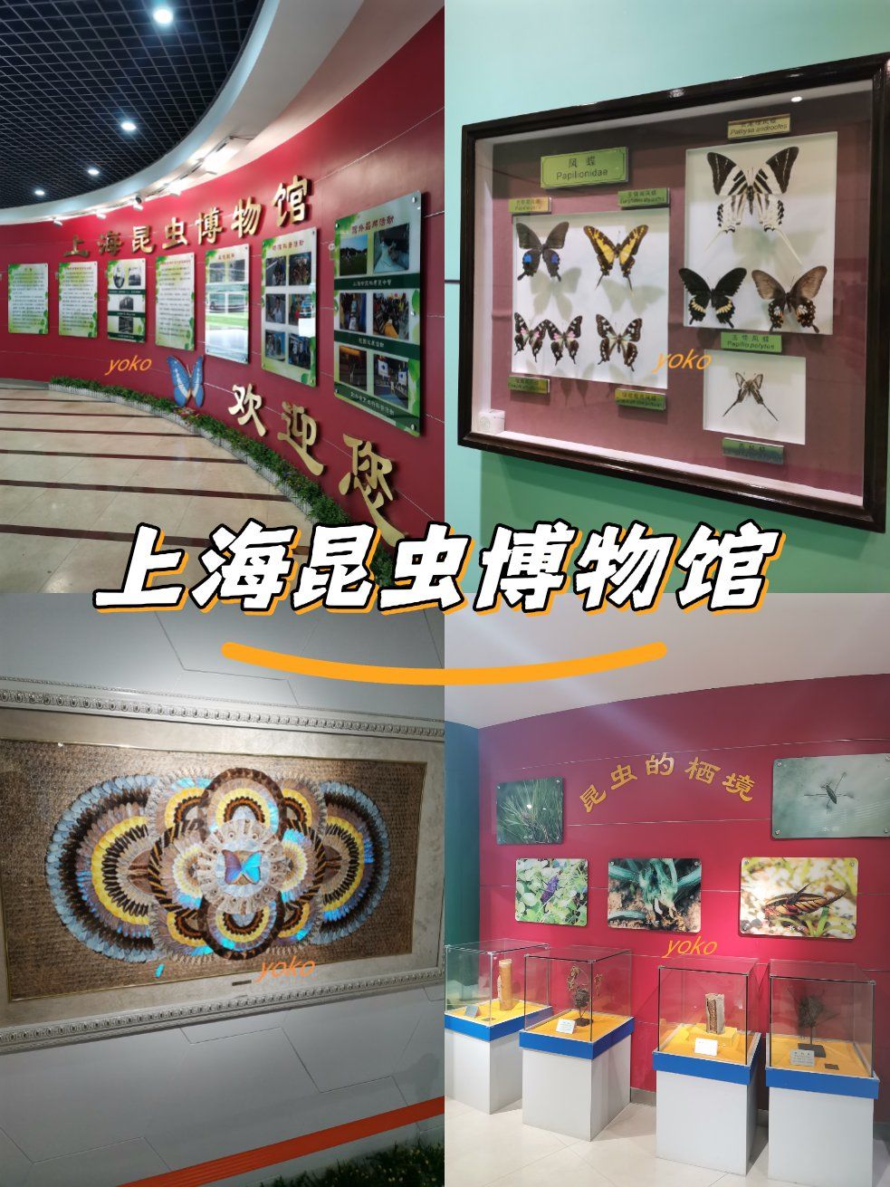 上海昆虫博物馆