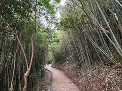 -苏州园林博物馆
