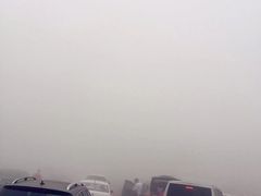 -白洋淀景区