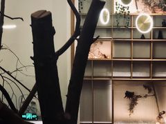 -纳地素食(石门公园店)