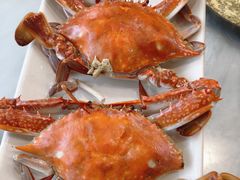 -金海湾海鲜排档(朱家尖店)