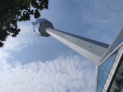 -陕西自然博物馆