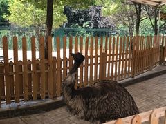 -海合安武汉极地海洋公园