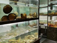 面包甜点陈列柜-甄御•海鲜新青岛菜(麦岛店)