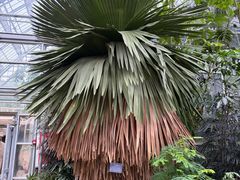 -南山植物园