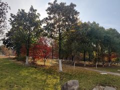 -江南大学(蠡湖校区)