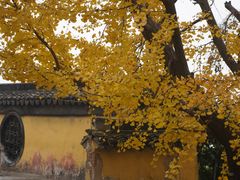 -东山风景区(洞庭东山)