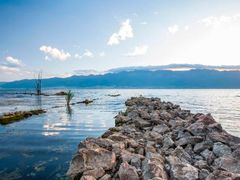 -洱海月湿地公园