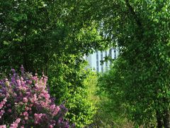 -长春公园(普阳街道)