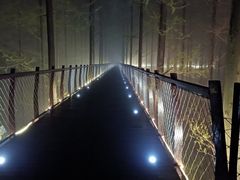 -黄海国家森林公园