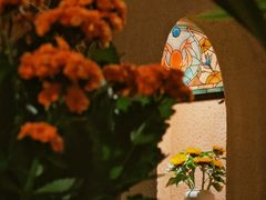 -绝城芋儿鸡(犀浦旗舰店)