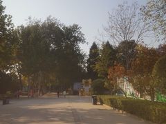 -保定市动物园
