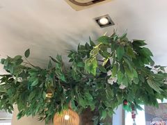 大堂-仙踪林(北展店)