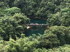 -鼎湖山风景区
