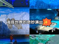 -大连老虎滩海洋公园