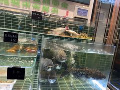 -明丰小渔馆(明月路店)