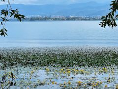 -西昌邛海湿地