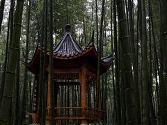 -蜀南竹海景区