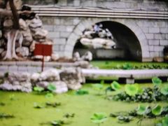 -莲湖公园