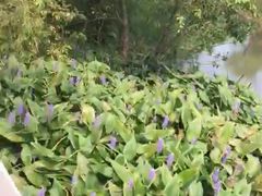 -西湖风景区-江洋畈生态公园