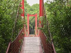 -上海吴淞炮台湾国家湿地公园