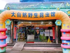 -上海大自然野生昆虫馆(东方明珠·爬宠昆虫探索中心)
