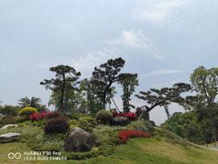-东莞植物园