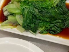 -金鼎轩(方庄天坛店)