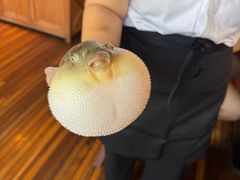 -永安鱼庄·镇江菜(丁卯店)