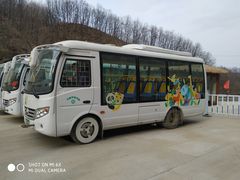 -栾川竹海野生动物园