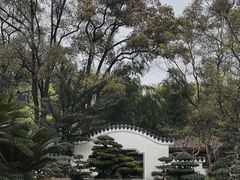 -南山植物园