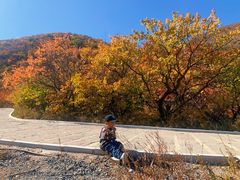 -建平天秀山森林公园