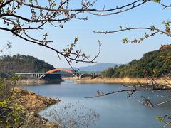 -广州市流溪河国家森林公园