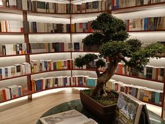 -二酉书店TOYOU BOOKS