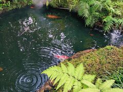 -Chom Cafe and Restaurant