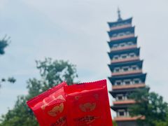 -大明寺素斋